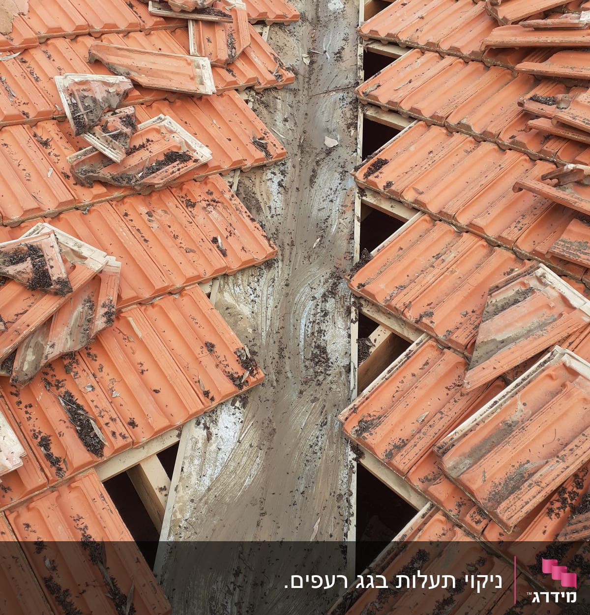 רעפים כתומים שבורים על גג עם תעלה מרכזית